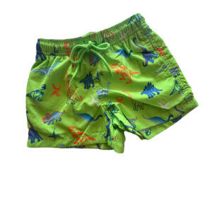 μαγιο δεινοσαυροι 4